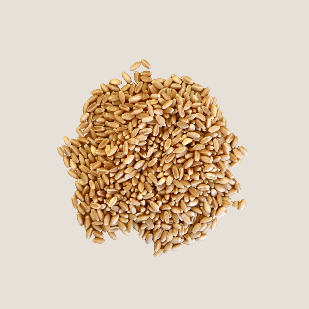 About Woodstock Flour about-woodstock-flour